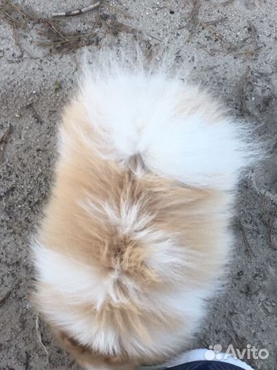 Вязка не продается