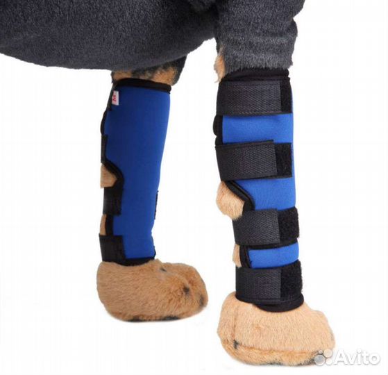 Бандаж ветеринарный на коленный сустав