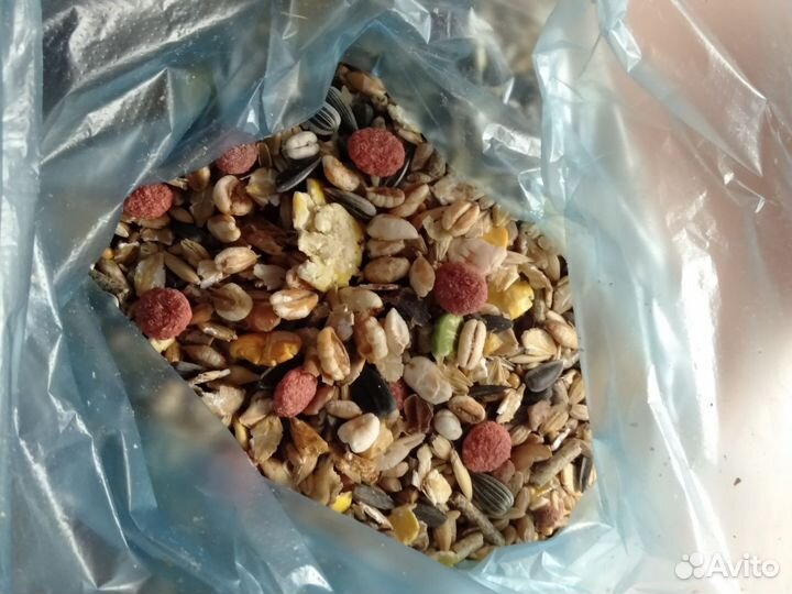 Клетка для домашних крыс (полноразмерная )