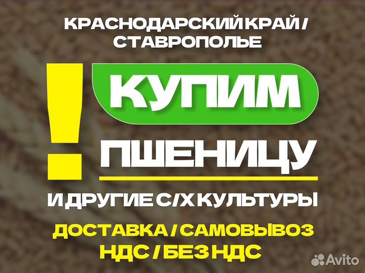 Продайте нам пшеницу