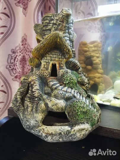 Декарация в аквариум