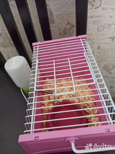 Переноска для грызунов