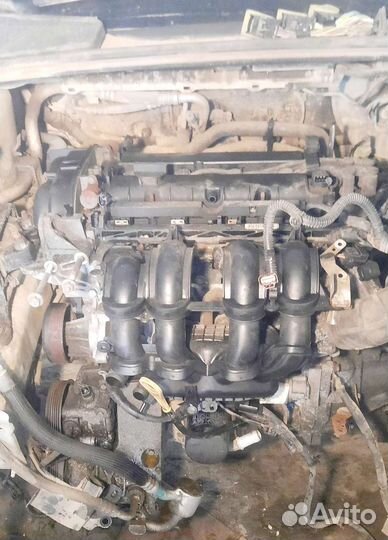 Двигатель Ford Focus 1,6 105лс