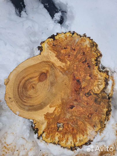 Торцевой спил,кап