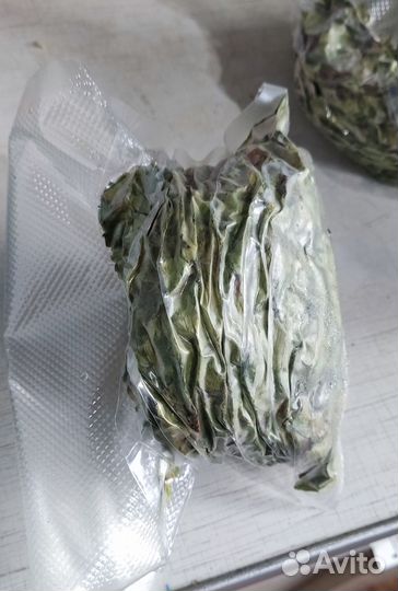 Хмель шишковой Cascade для пивоварения