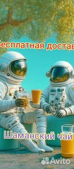 Чай пуэр « Космос шаманов » шмн11076