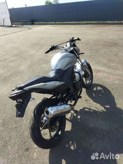 Stels flex 250