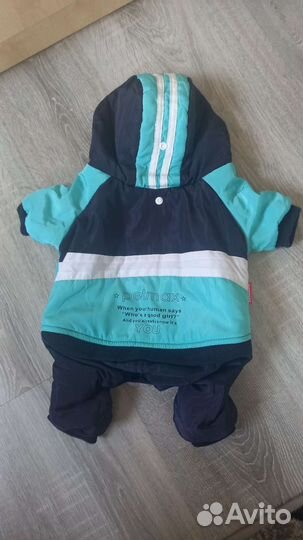 Комбинезон для собак