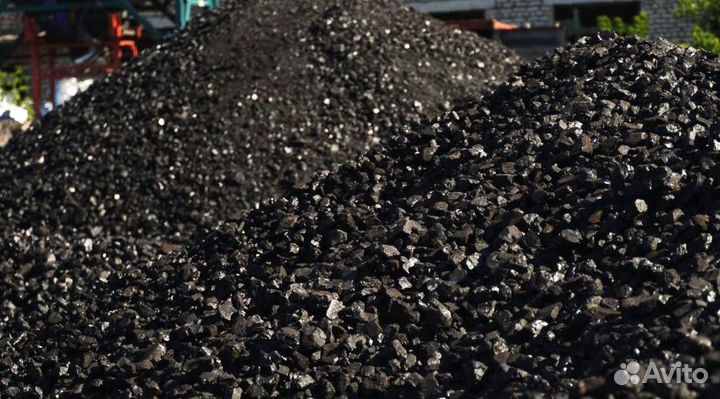 Тепло природы: дуб, лиственница, клён, акация