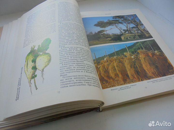 Н.И.Вавилов Пять континентов А.Н.Краснов Мысль1987