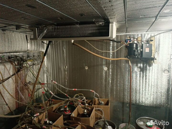 Продам готовый бизнес магазин разливного пива