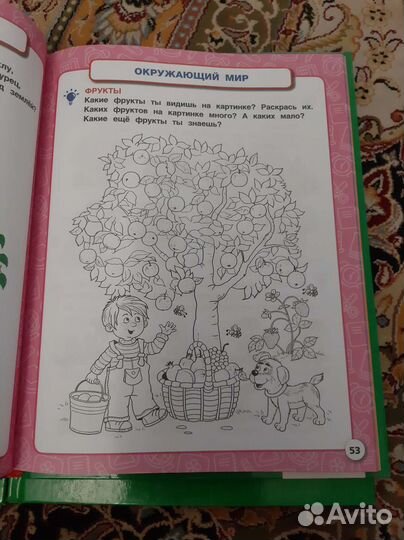 Букварь Жукова