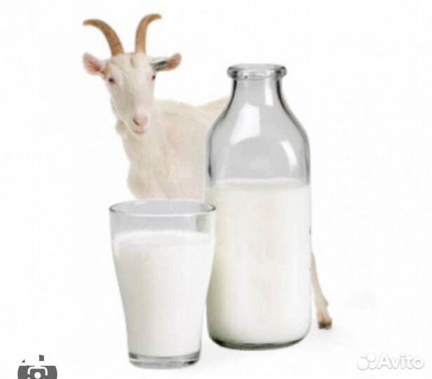 Козье молоко