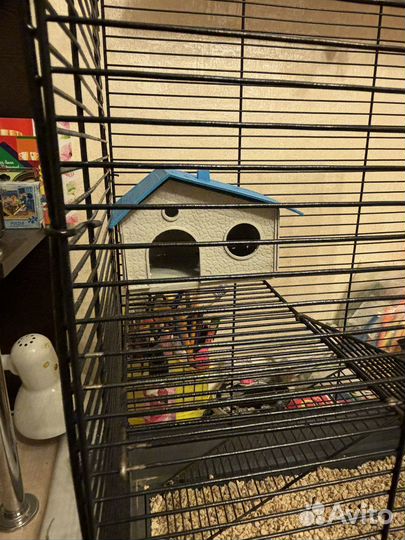 Клетка для крыс