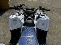 Квадроцикл wild trac x sharrk200
