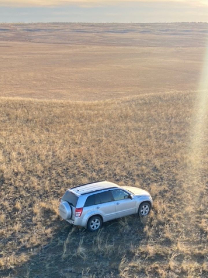 Suzuki Grand Vitara: фото владельца