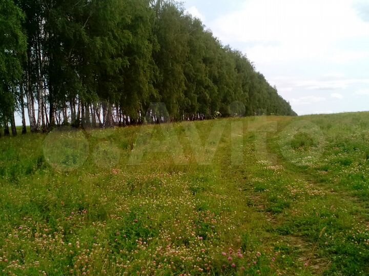 Участок 1,4 га (СНТ, ДНП)