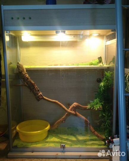 Террариум для игуаны, хамелеона