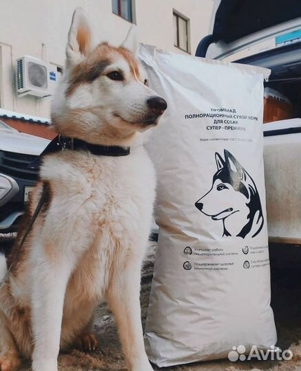 Корм Promenade для собак из рыбы 12 кг