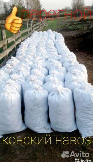Конский навоз