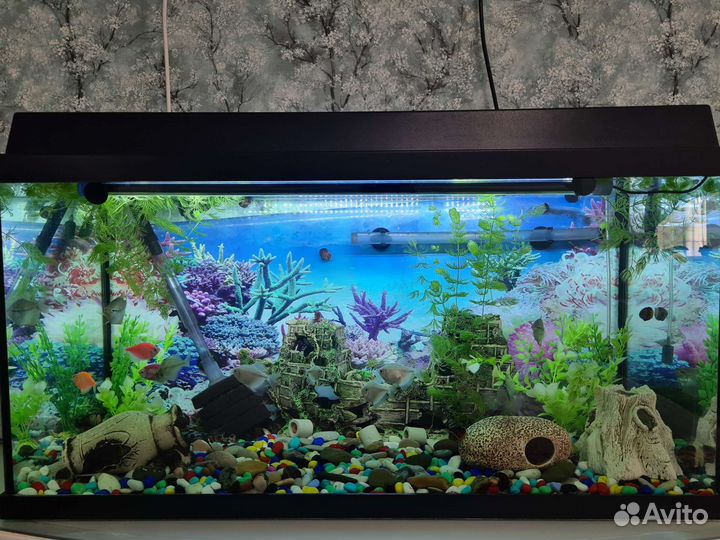 Продам аквариум на 100 л и все оборудование к нему
