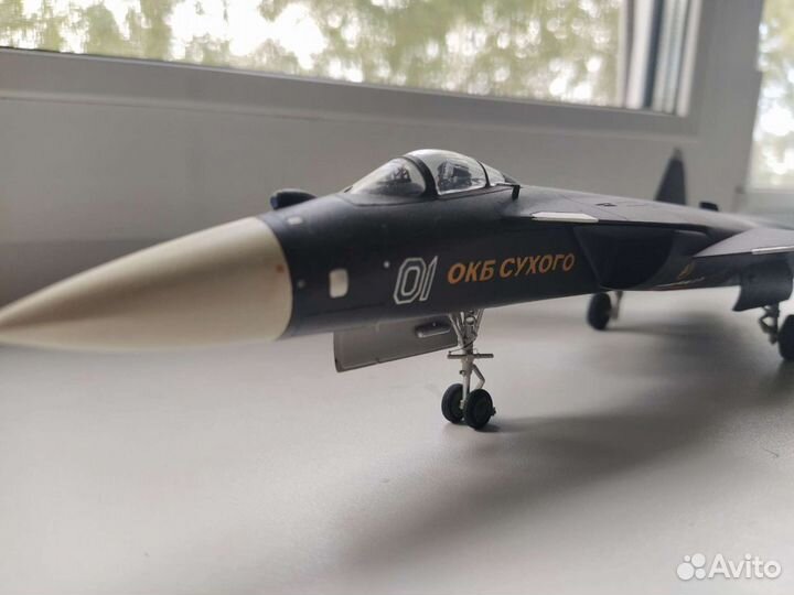 Модель самолета Су-47