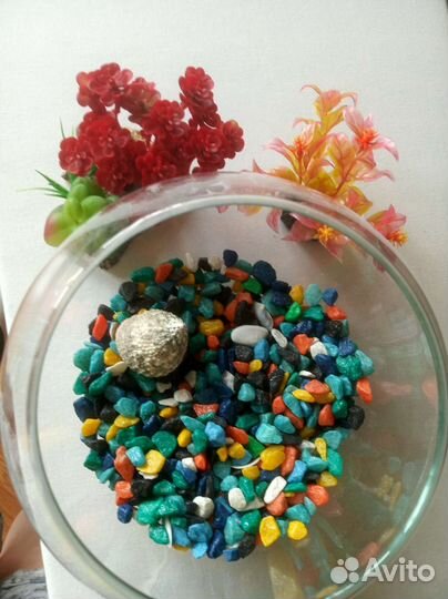 Аквариум 3 литра