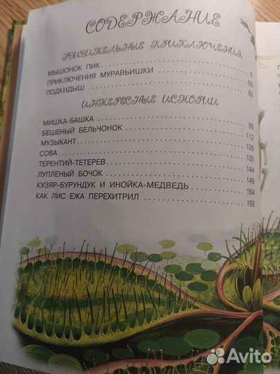 Сказки и рассказы про животных