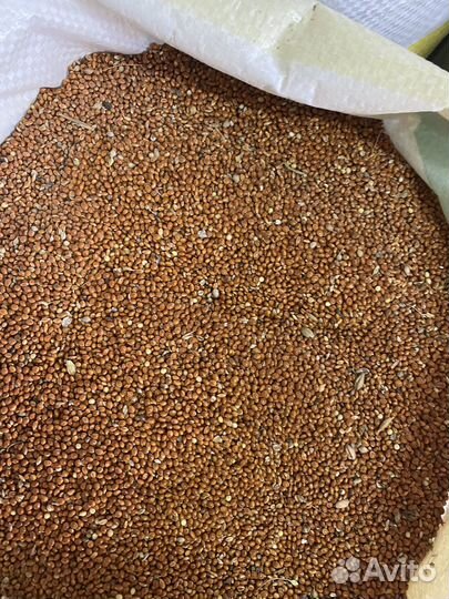 Зерно в мешках, Комбикорма