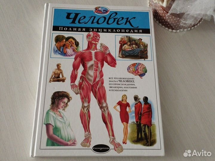 Энциклопедия Человек