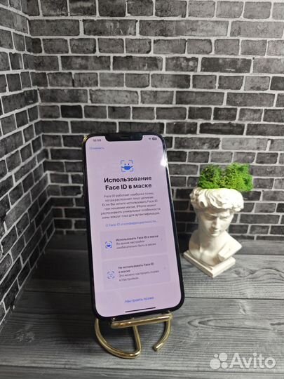 iPhone 12 Pro Max, 256 ГБ