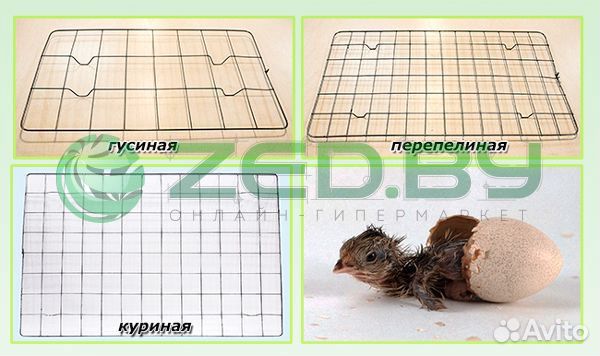 Инкубаторы 