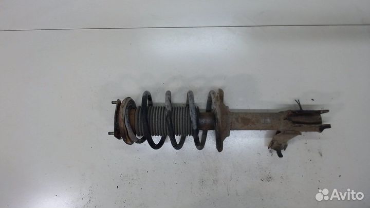 Амортизатор подвески Nissan Almera N16, 2001