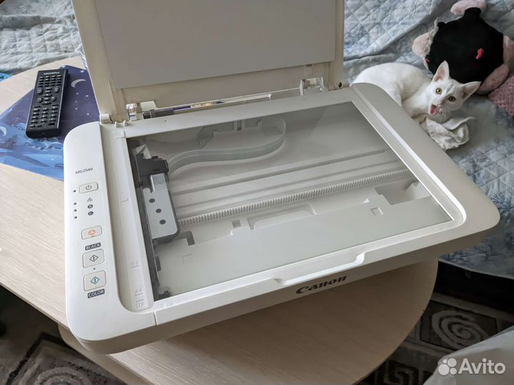 Принтер и сканер canon