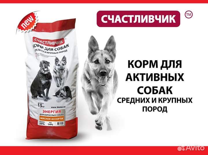 Корм для собак и кошек 