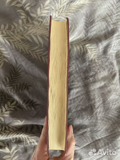 Книга милые кости