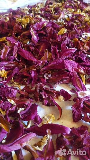 Травы. Лепестки пиона сушёные