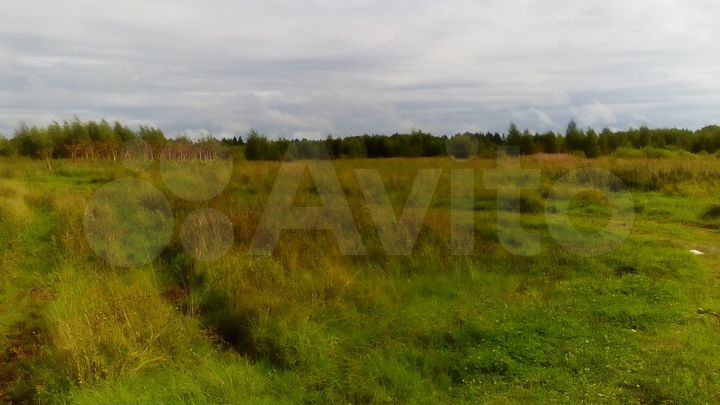 Участок 45 га (ИЖС)