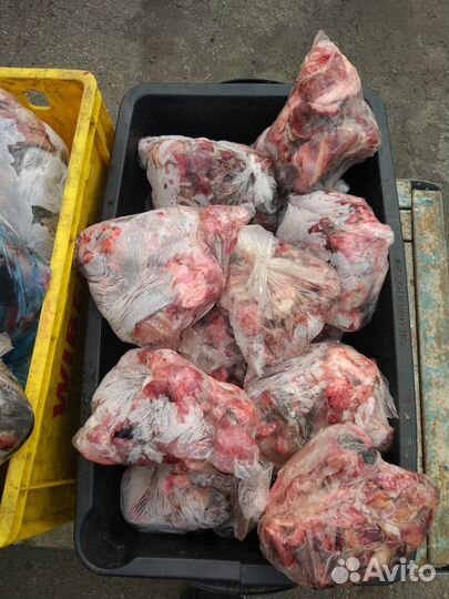 Корм для собак мясо субпродуты