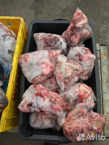 Корм для собак мясо субпродуты