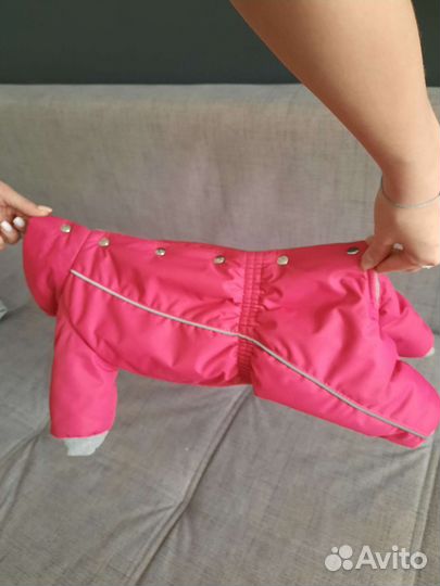 Комбинезон для маленькой собаки зима