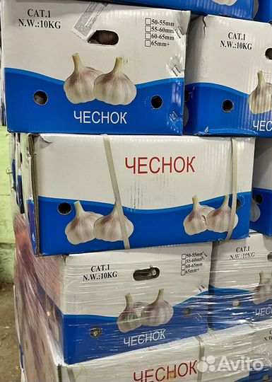 Чеснок на хранение