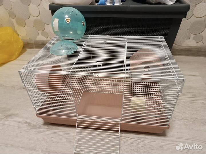 Набор для Дегу