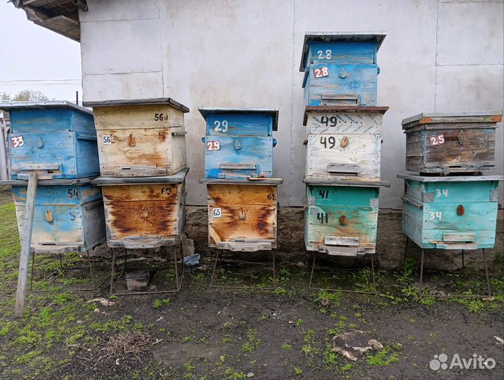 Улей для пчел