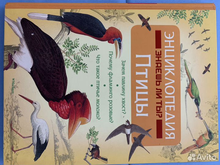 Энциклопедия о птицах