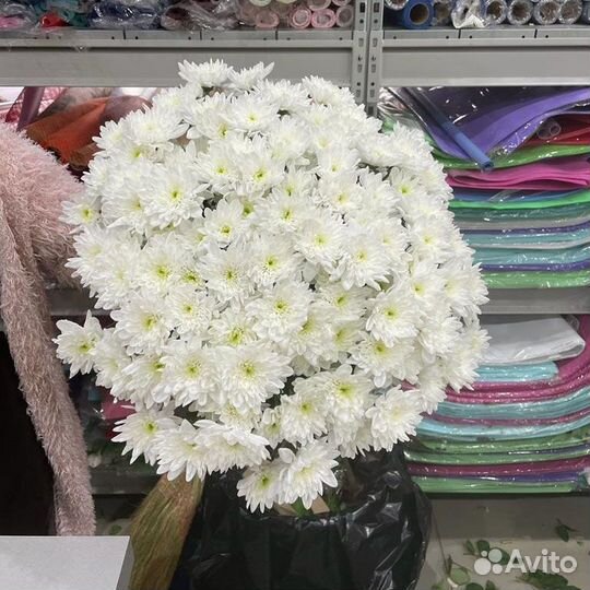 Белые ромашки