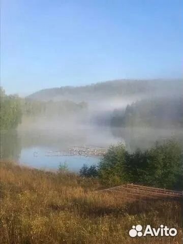 Инвестиции в Действующее рыбное хозяйство