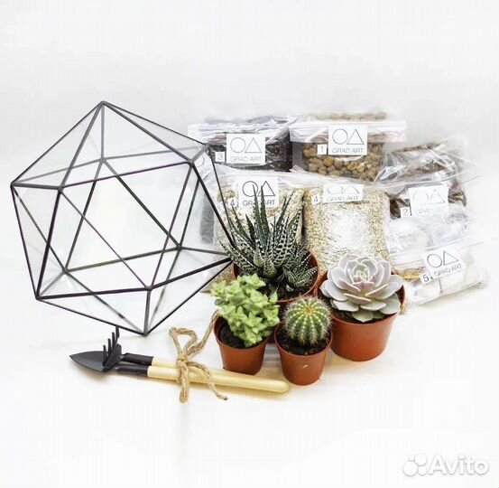 Подарочный набор «собери сам флорариум»
