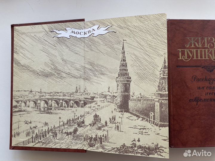 Жизнь Пушкина в 2ух томах