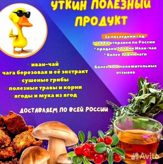 Иван чай опт